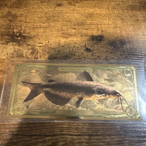 Blue catfish aurum 100mg - catfish,